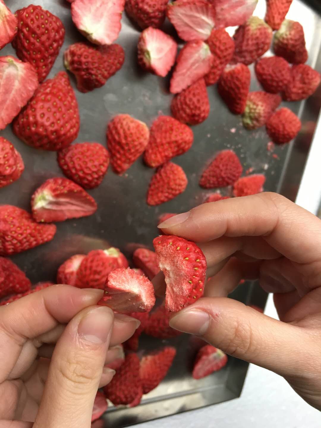 安徽草莓新萄京3522vip
